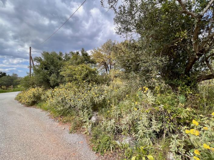 Image No.5-Terre à vendre à Kefalas