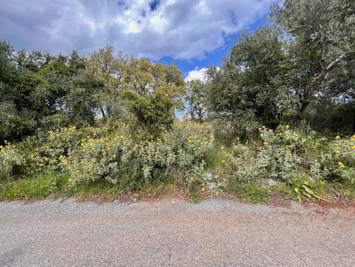 Image No.4-Terre à vendre à Kefalas