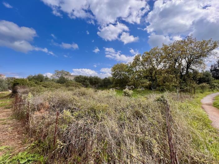 Image No.9-Terre à vendre à Kefalas