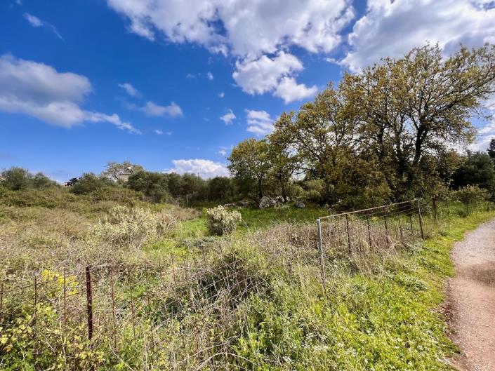 Image No.10-Terre à vendre à Kefalas