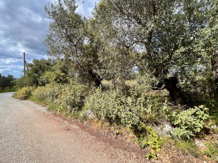 Image No.7-Terre à vendre à Kefalas