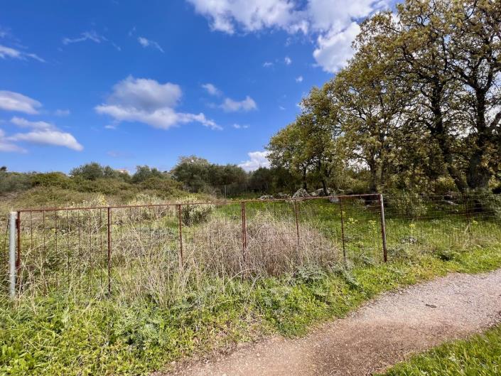 Image No.2-Terre à vendre à Kefalas