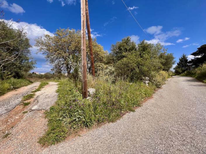 Image No.11-Terre à vendre à Kefalas