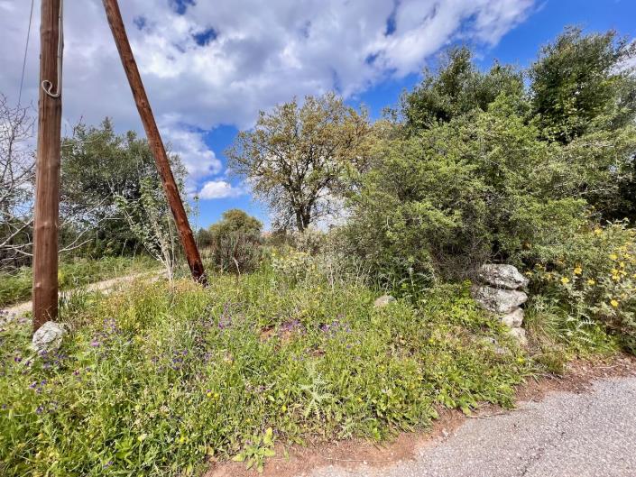 Image No.12-Terre à vendre à Kefalas