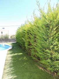 DSCN8120