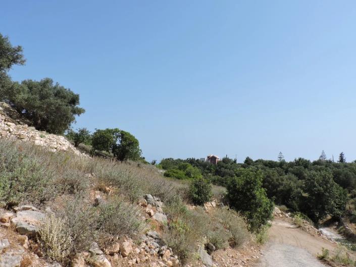 Image No.5-Terrain à vendre à Gerani