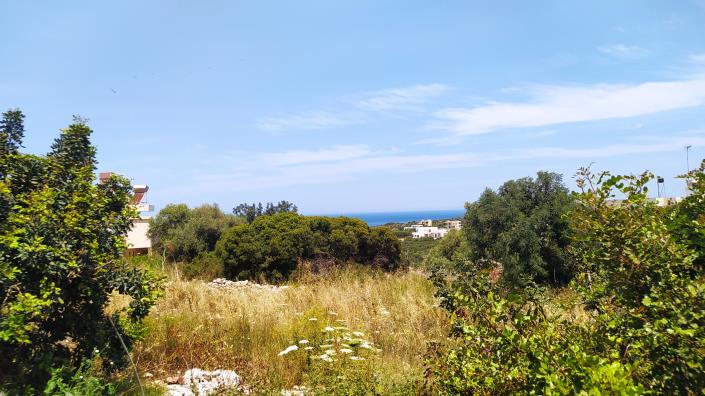 Image No.2-Plot for sale