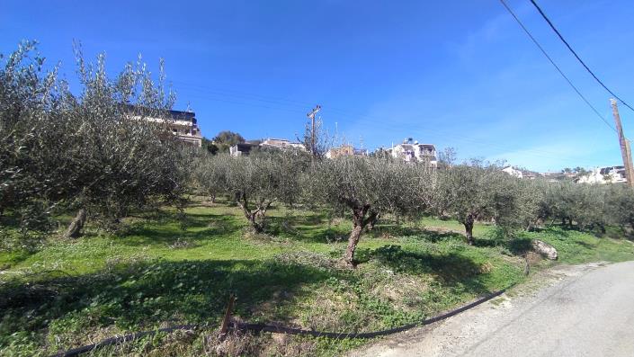 Image No.1-Plot for sale
