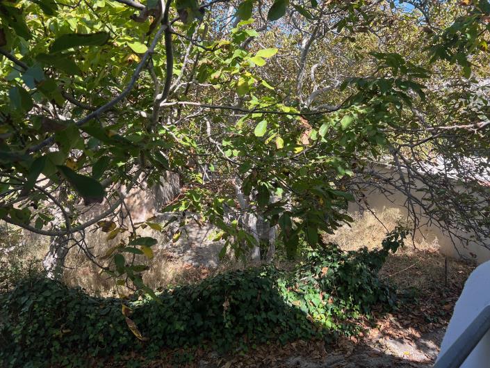 Image No.14-1 Bed Apartment for sale