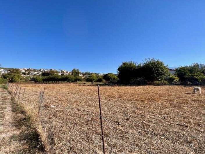 Image No.5-Terre à vendre à Kalyves