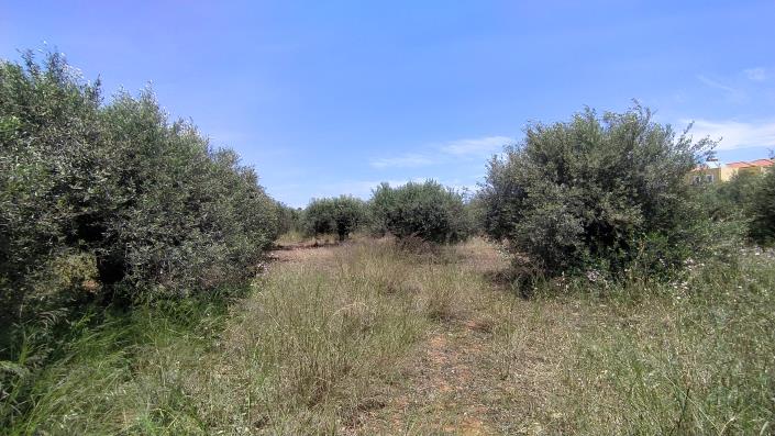 Image No.1-Land for sale