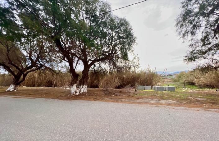 Image No.5-Terre à vendre à Tavronitis