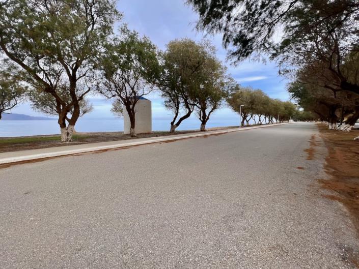 Image No.3-Terre à vendre à Tavronitis