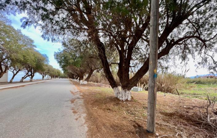 Image No.4-Terre à vendre à Tavronitis