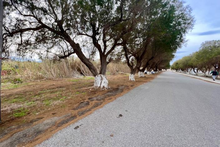 Image No.9-Terre à vendre à Tavronitis