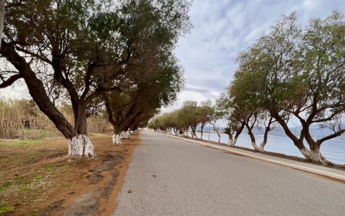 Image No.2-Terre à vendre à Tavronitis