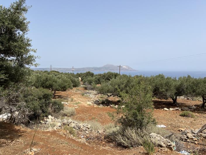 Image No.2-Terrain à vendre à Kokkino Horio