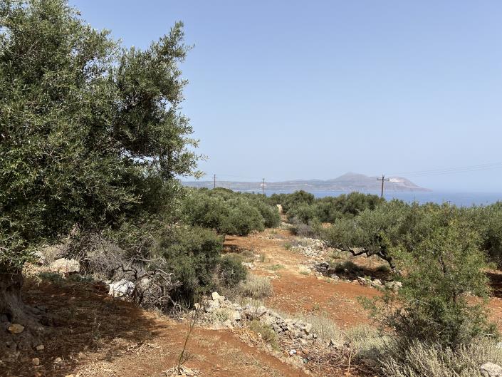 Image No.3-Terrain à vendre à Kokkino Horio