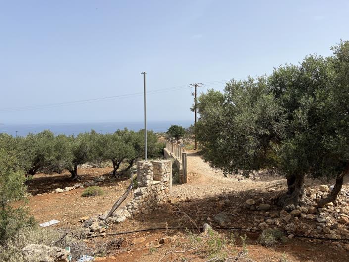 Image No.5-Terrain à vendre à Kokkino Horio