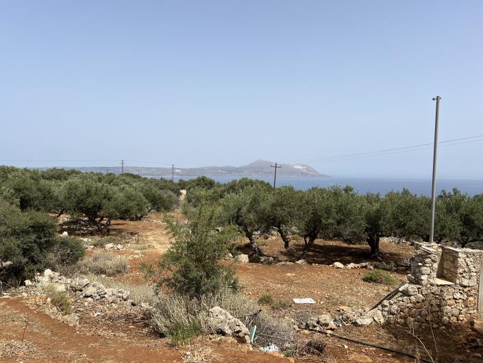 Image No.6-Terrain à vendre à Kokkino Horio