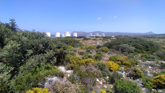 Image No.4-Plot for sale