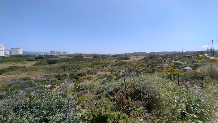 Image No.13-Plot for sale