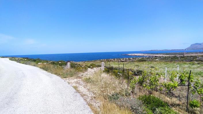 Image No.14-Plot for sale