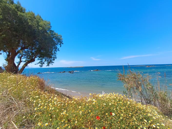 Image No.25-2 Bed Apartment for sale