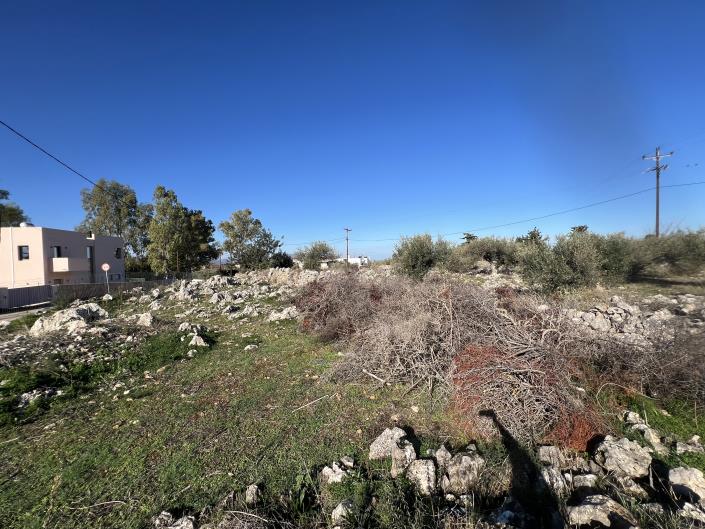 Image No.2-Terrain à vendre à Vamos