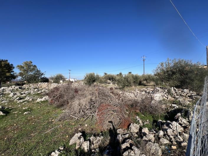 Image No.5-Terrain à vendre à Vamos