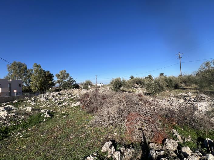 Image No.6-Terrain à vendre à Vamos