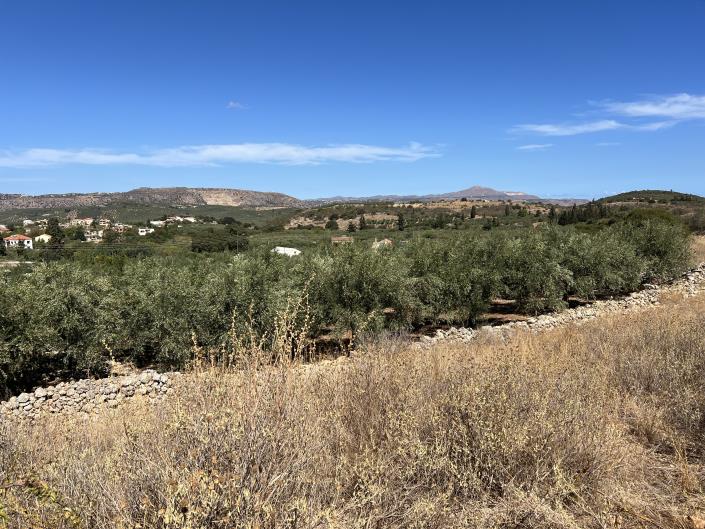 Image No.9-Terrain à vendre à Apokoronas