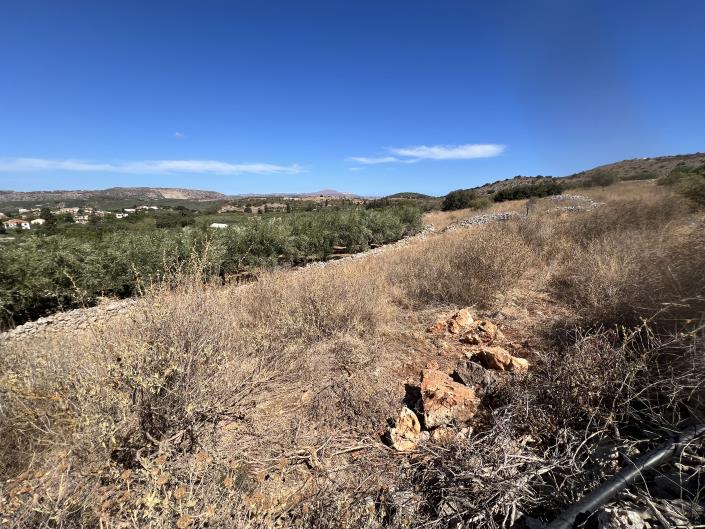 Image No.12-Terrain à vendre à Apokoronas