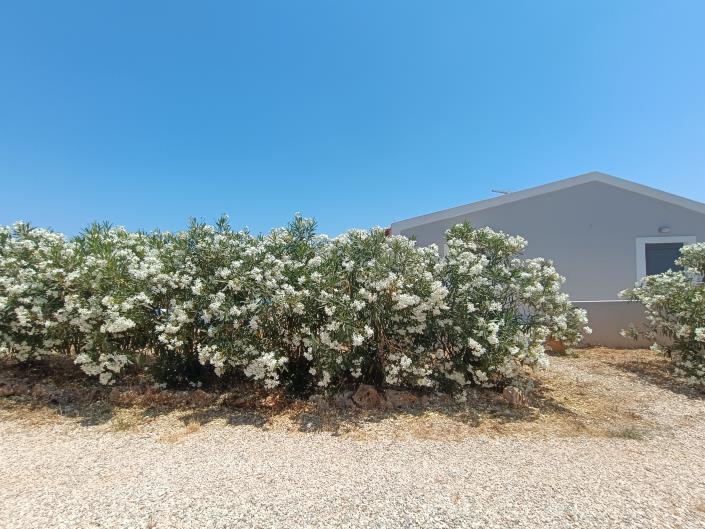 Image No.23-Maison / Villa de 2 chambres à vendre à Litsarda