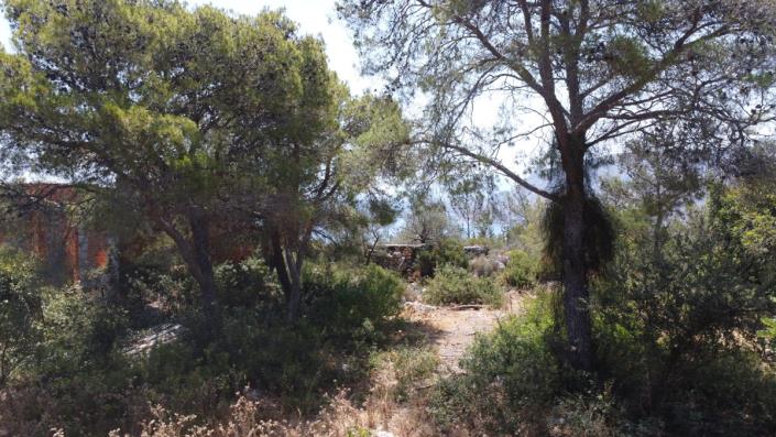 Image No.10-Land for sale