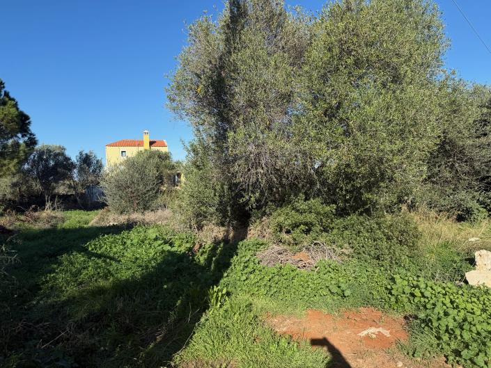 Image No.6-Plot for sale