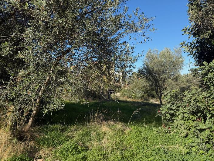 Image No.2-Plot for sale