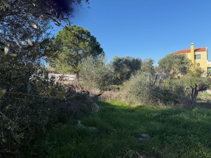 Image No.4-Plot for sale