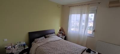 IMG_20260306_095345