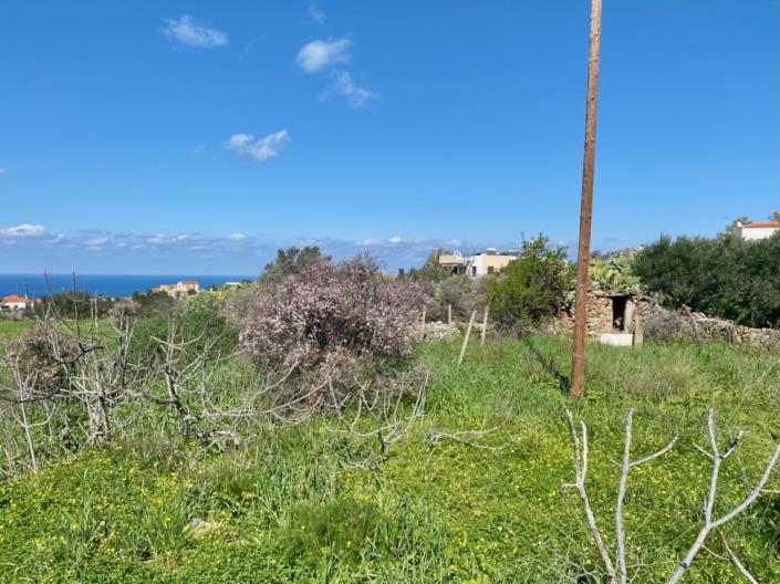 Image No.2-Land for sale