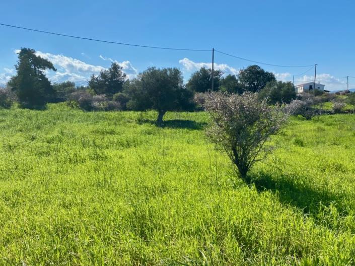 Image No.10-Land for sale