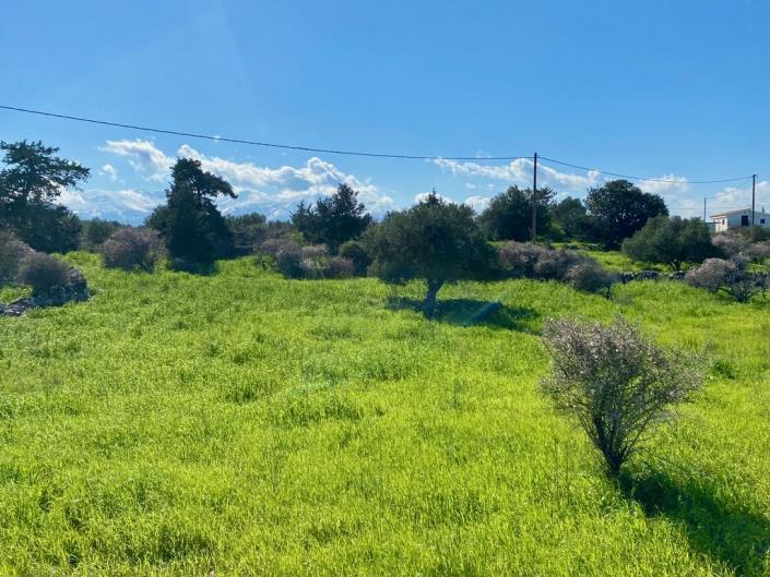 Image No.14-Land for sale