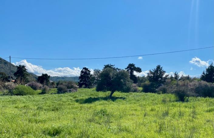 Image No.18-Land for sale