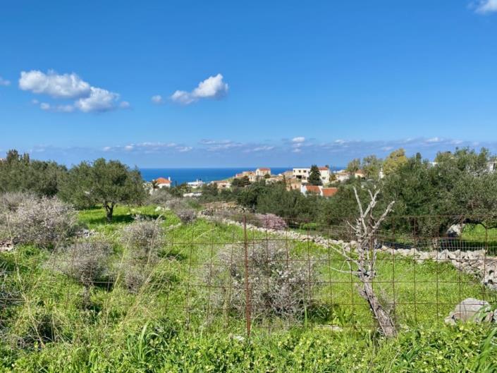 Image No.17-Land for sale