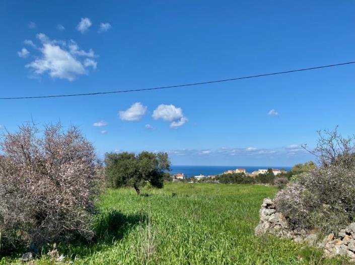 Image No.3-Land for sale