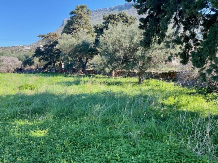 Image No.30-Land for sale