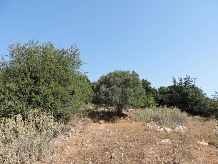Image No.6-Plot for sale