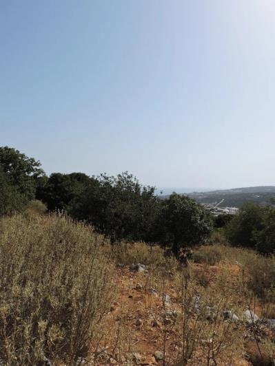 Image No.9-Plot for sale