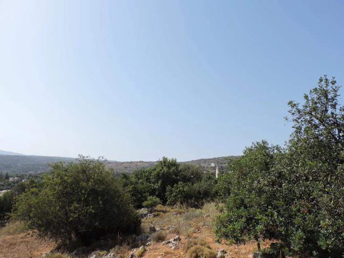Image No.10-Plot for sale