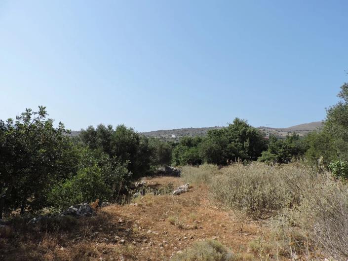 Image No.11-Plot for sale